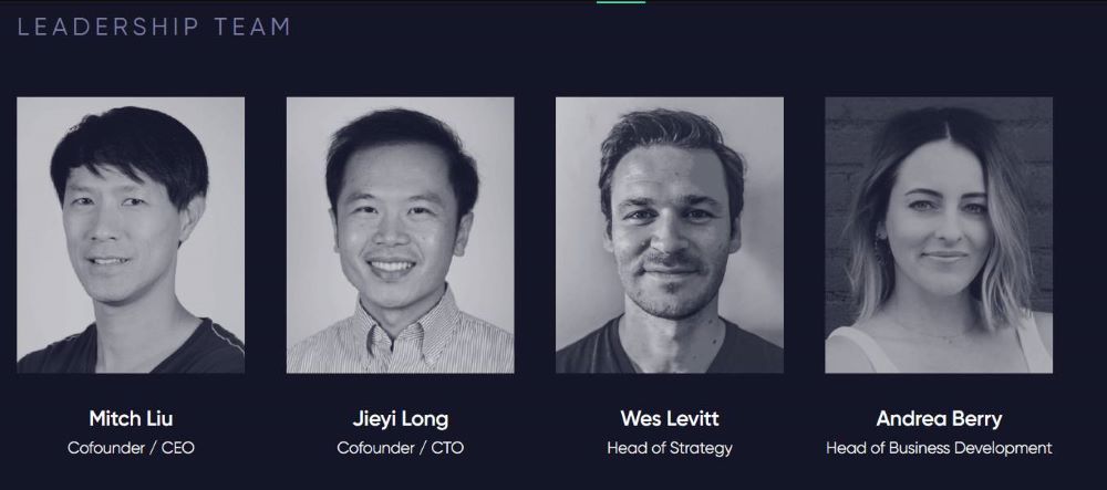 Team, Investors, and Strategic Partners