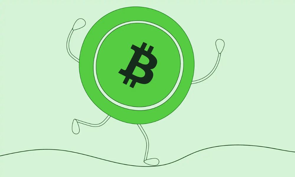 Ecosystem of Bitcoin Cash