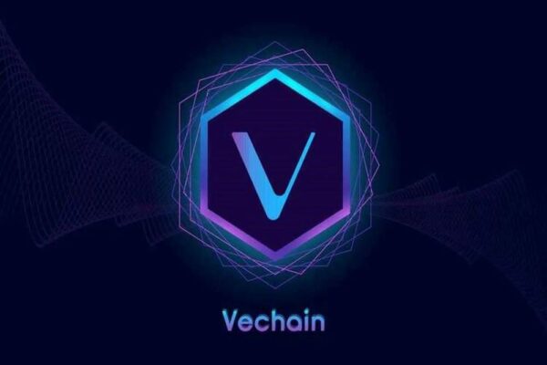 What is VeChain? Updated VET review you shouldn’t miss in 2025