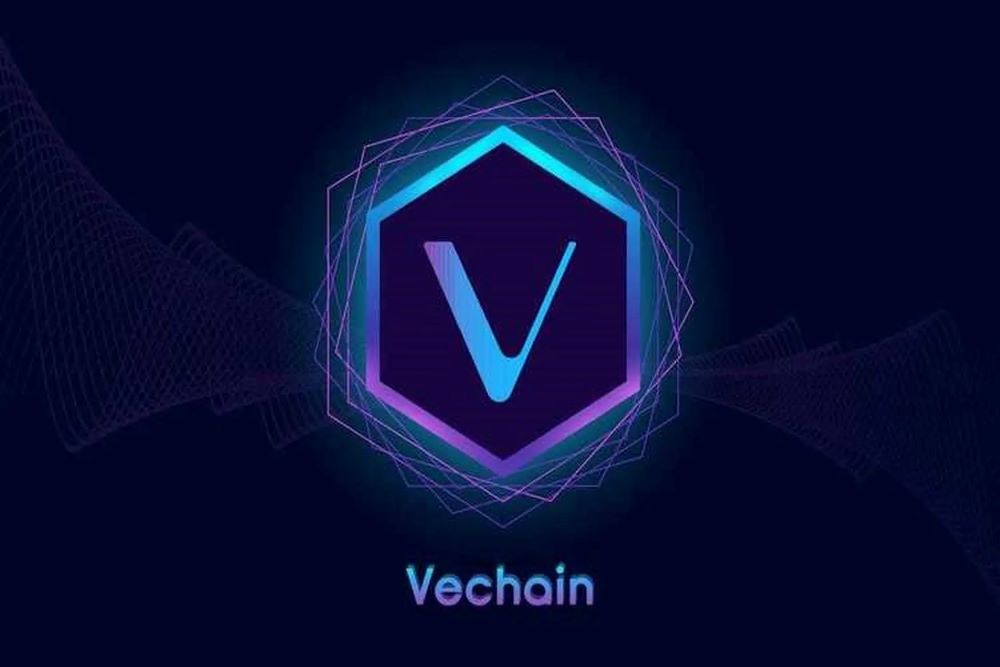 What is VeChain? Updated VET review you shouldn’t miss in 2025