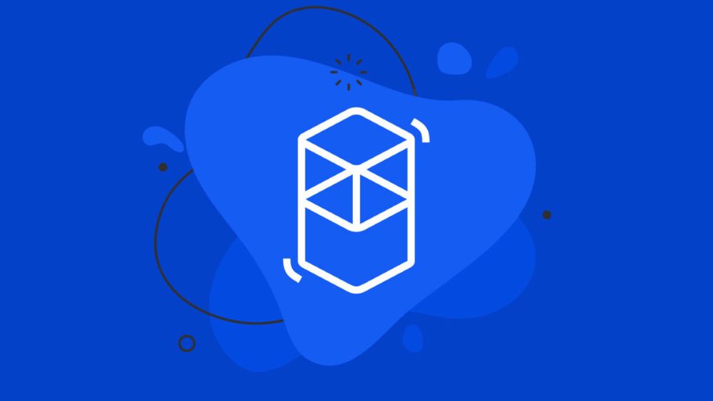 What is the FTM Token?