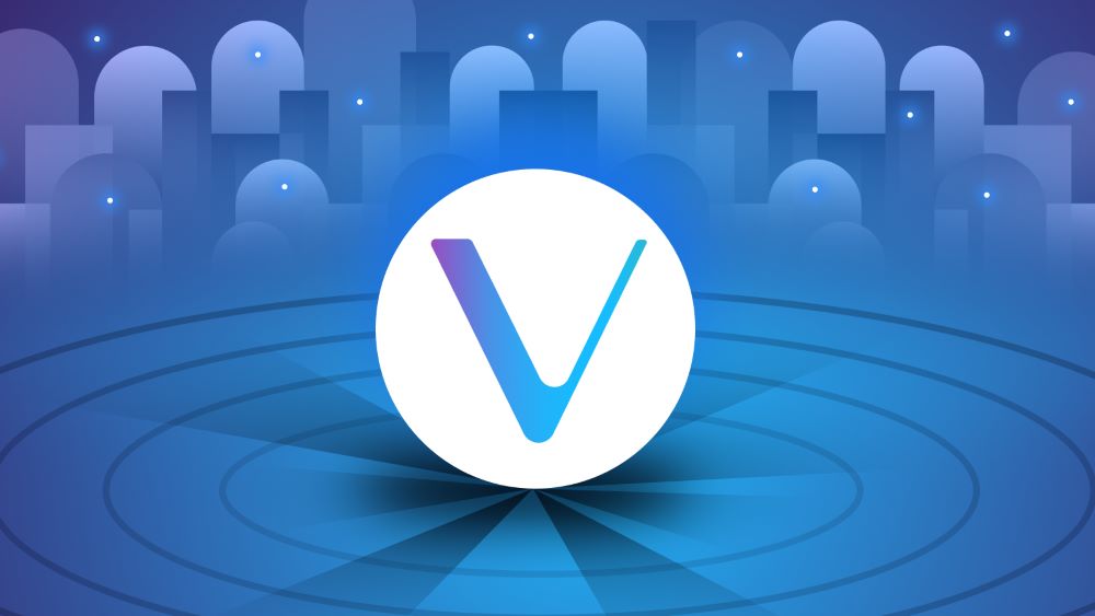What is VeChain (VET)?